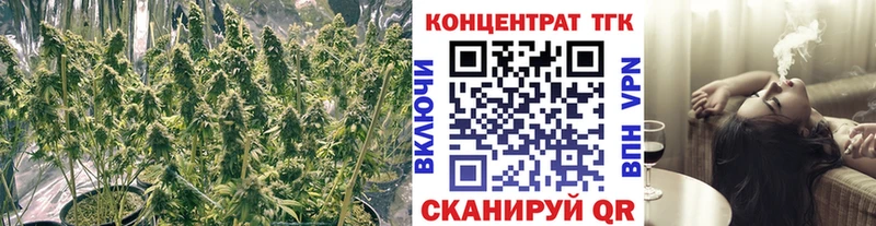 наркотики  shop как зайти  ТГК концентрат  Киселёвск 